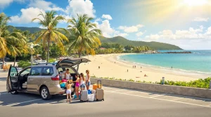plage de grande anse : un coin de paradis entre sable et cocotiers