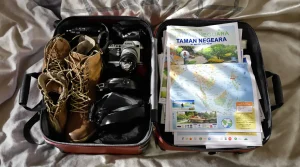 Explorer taman negara : secrets d’une jungle malaisienne unique